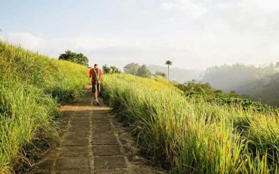 Ubud Bali : A Haven for delicious and healthy plant-based cuisine
